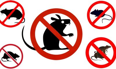 aparat anti rozatoare