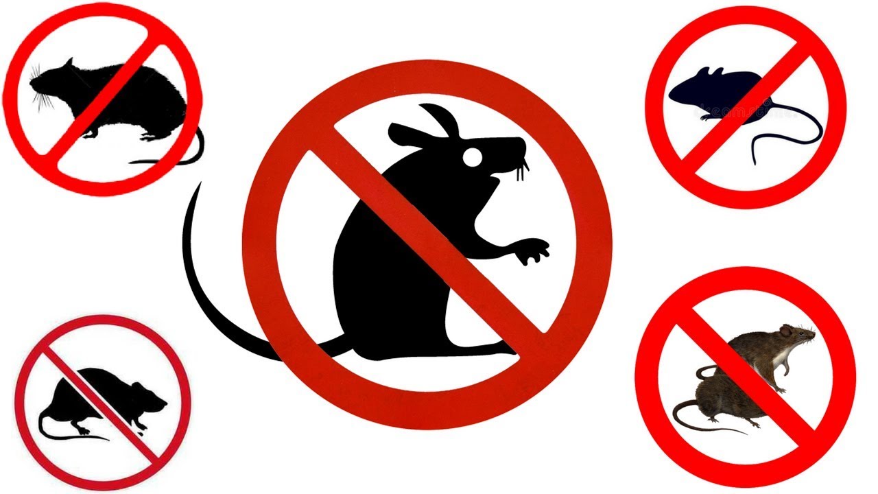 aparat anti rozatoare