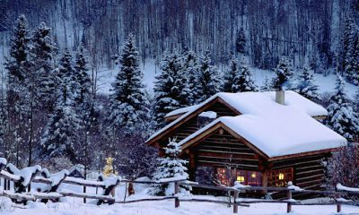 Cazarile de tip cabana munte sunt cele mai potrivite pentru o vacanta pe perioada iernii
