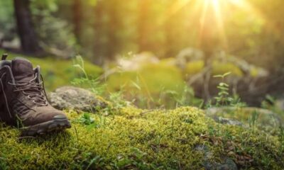 Cum poti alege cea mai buna pereche de bocanci