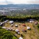 Deep Forest Fest